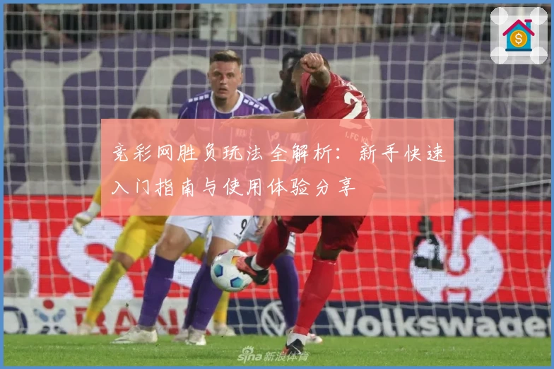竞彩网胜负玩法全解析：新手快速入门指南与使用体验分享