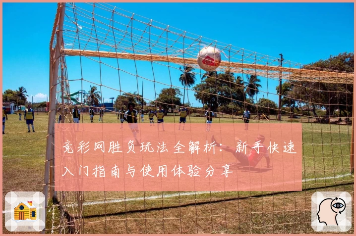 竞彩网胜负玩法全解析：新手快速入门指南与使用体验分享