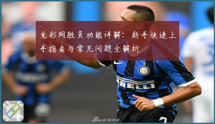 竞彩网胜负功能详解：新手快速上手指南与常见问题全解析